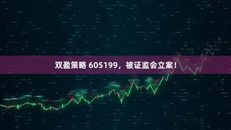 双盈策略 605199，被证监会立案！