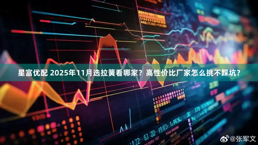星富优配 2025年11月选拉簧看哪家？高性价比厂家怎么挑不踩坑？