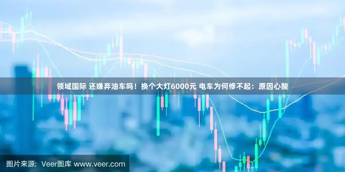 领域国际 还嫌弃油车吗！换个大灯6000元 电车为何修不起：原因心酸