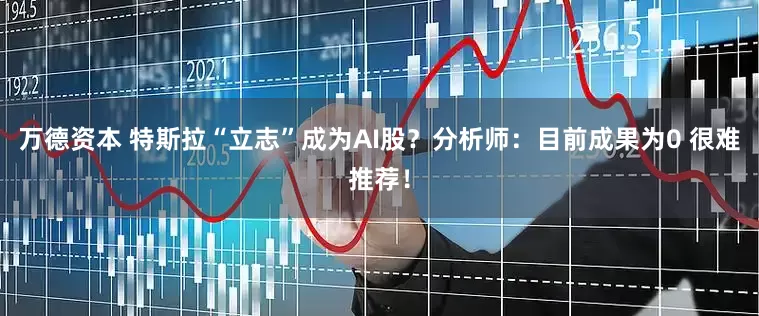 万德资本 特斯拉“立志”成为AI股？分析师：目前成果为0 很难推荐！